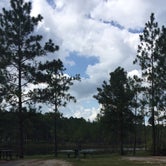Review photo of Magnolia Branch Wildlife Reserve by Sherry P., September 13, 2021