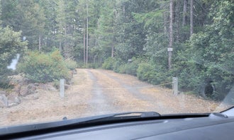 Camping near Nickel Creek - Redwood National and State Park - TEMPORARILY CLOSED: Sand Camp - Dispersed, Hiouchi, California