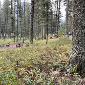 Review photo of Cabin Creek Campground by Bill Y., September 14, 2021