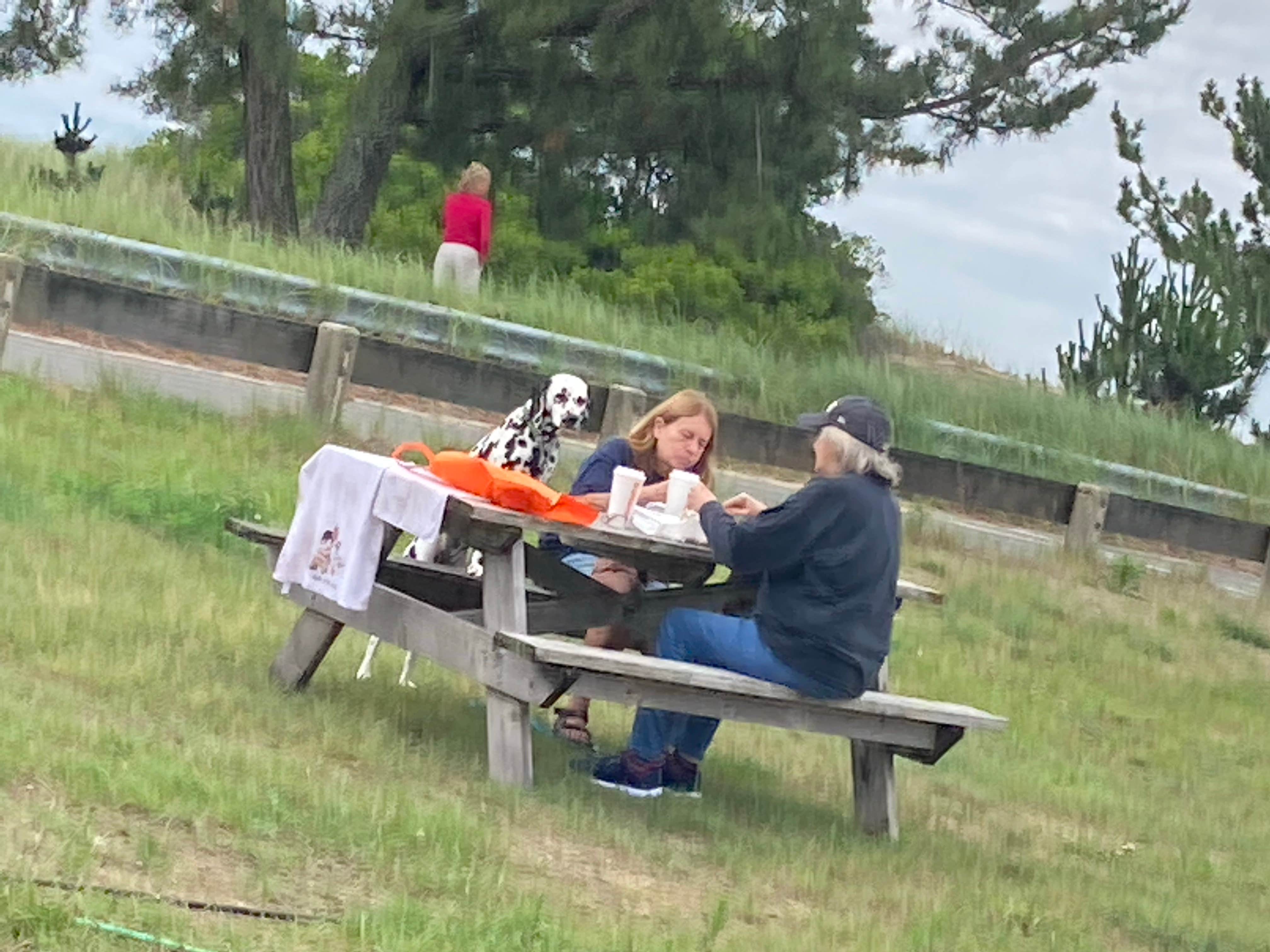 Reneé Rose B.'s photo of camping with pets at Salisbury Beach State Reservation near Kittery, ME
