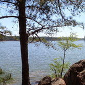 Review photo of Mckinney Campground by Bran P., July 18, 2016