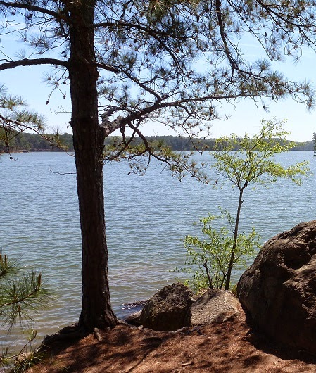 Camper submitted image from Mckinney Campground - 3