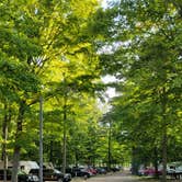 Review photo of Indigo Bluffs RV Park by Tara T., September 14, 2021