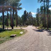 Review photo of Jacob Lake Campground - Kaibab National Forest by Greg L., September 14, 2021