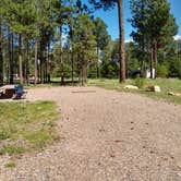 Review photo of Jacob Lake Campground - Kaibab National Forest by Greg L., September 14, 2021