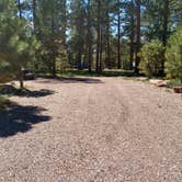 Review photo of Jacob Lake Campground - Kaibab National Forest by Greg L., September 14, 2021