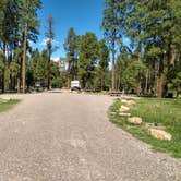 Review photo of Jacob Lake Campground - Kaibab National Forest by Greg L., September 14, 2021