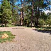 Review photo of Jacob Lake Campground - Kaibab National Forest by Greg L., September 14, 2021