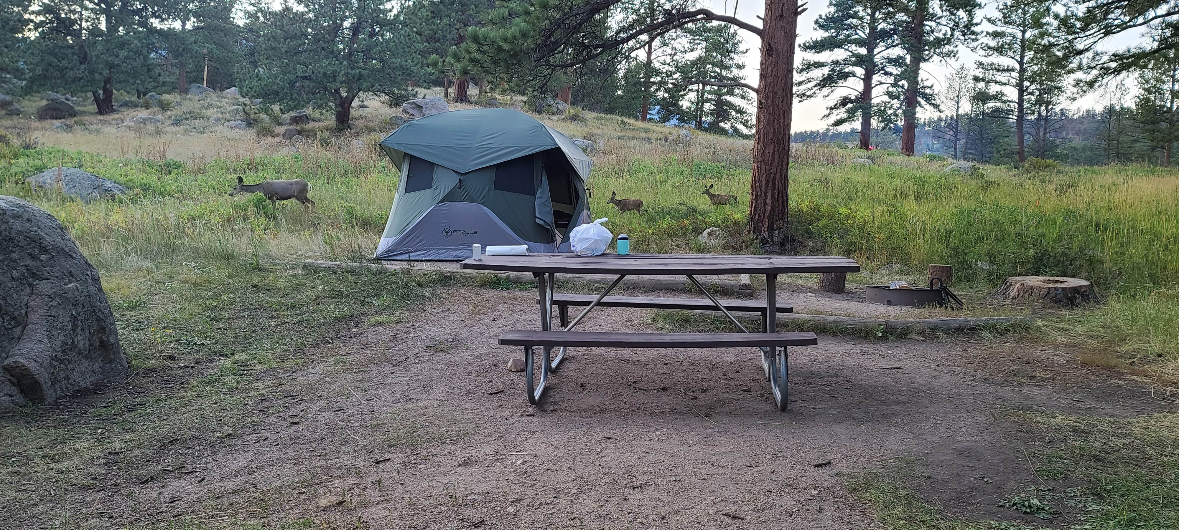 Natalie G.'s photo at Moraine Park Campground — Rocky Mountain National Park near Estes Park, CO