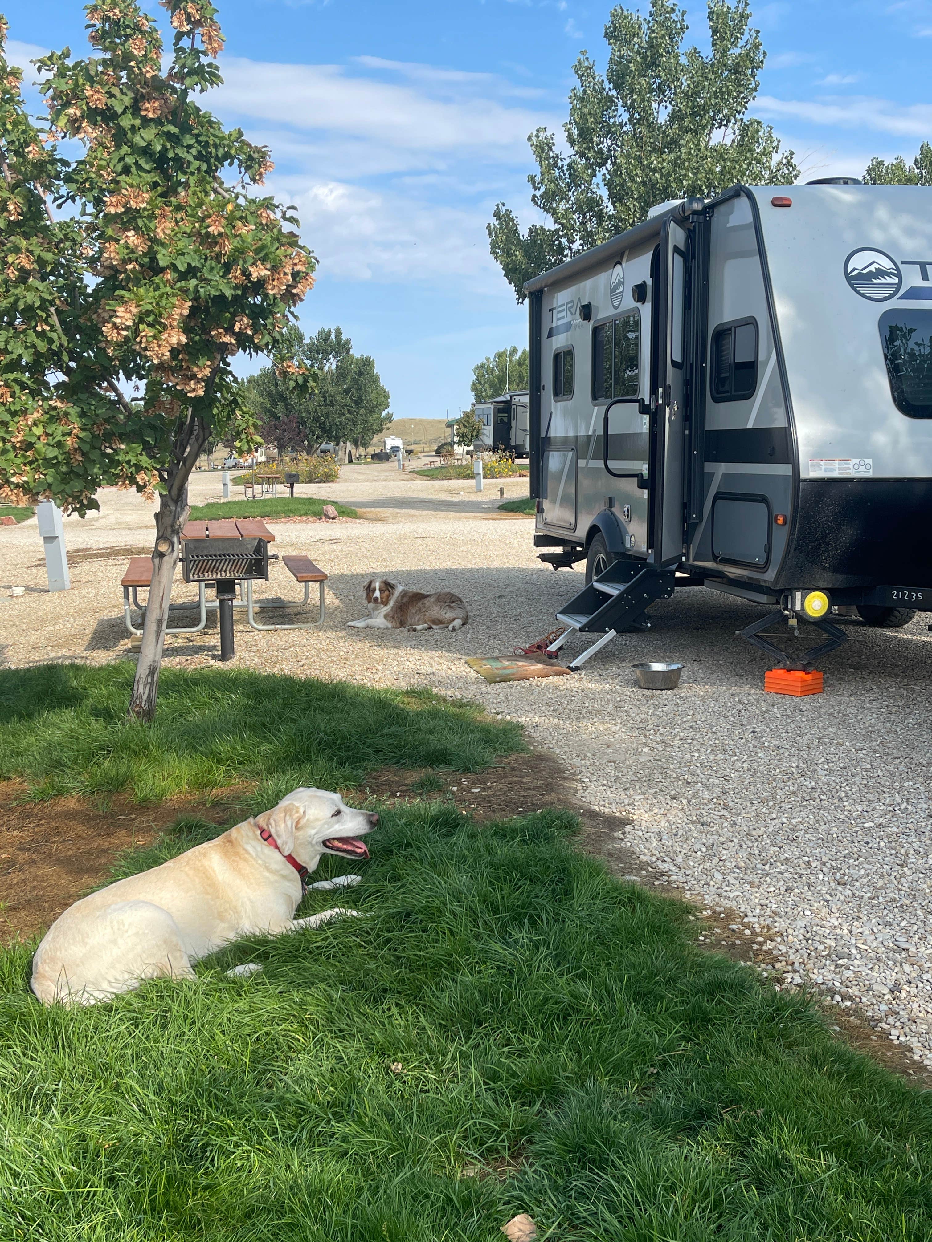 Mary G.'s photo of camping with pets at 7th Ranch RV Park near Fort Smith, MT