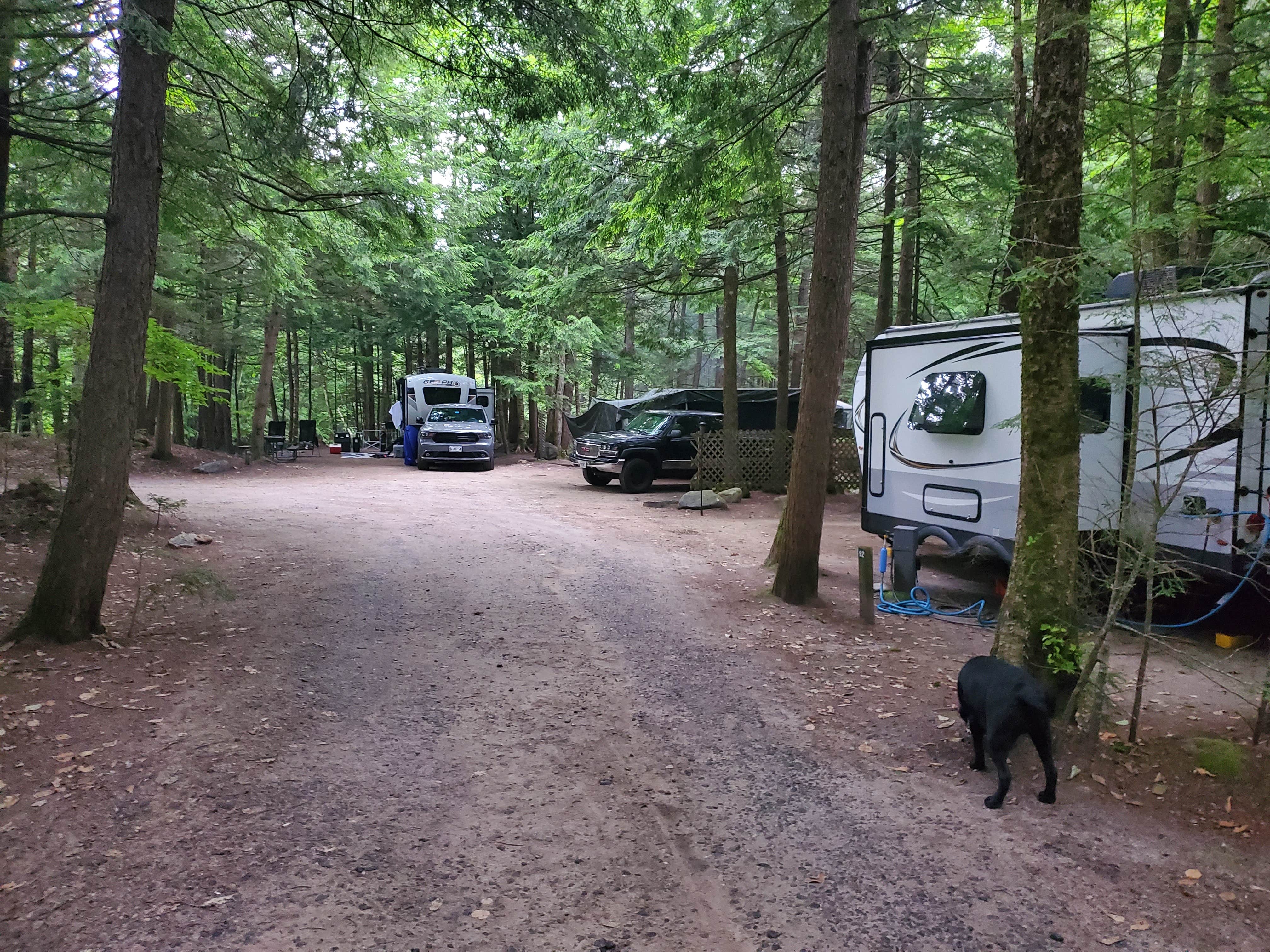 hunter P.'s photo of camping with pets at Lost River Valley Campground near Lincoln, NH
