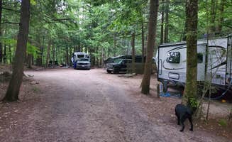 hunter P.'s photo of camping with pets at Lost River Valley Campground near West Newbury, VT