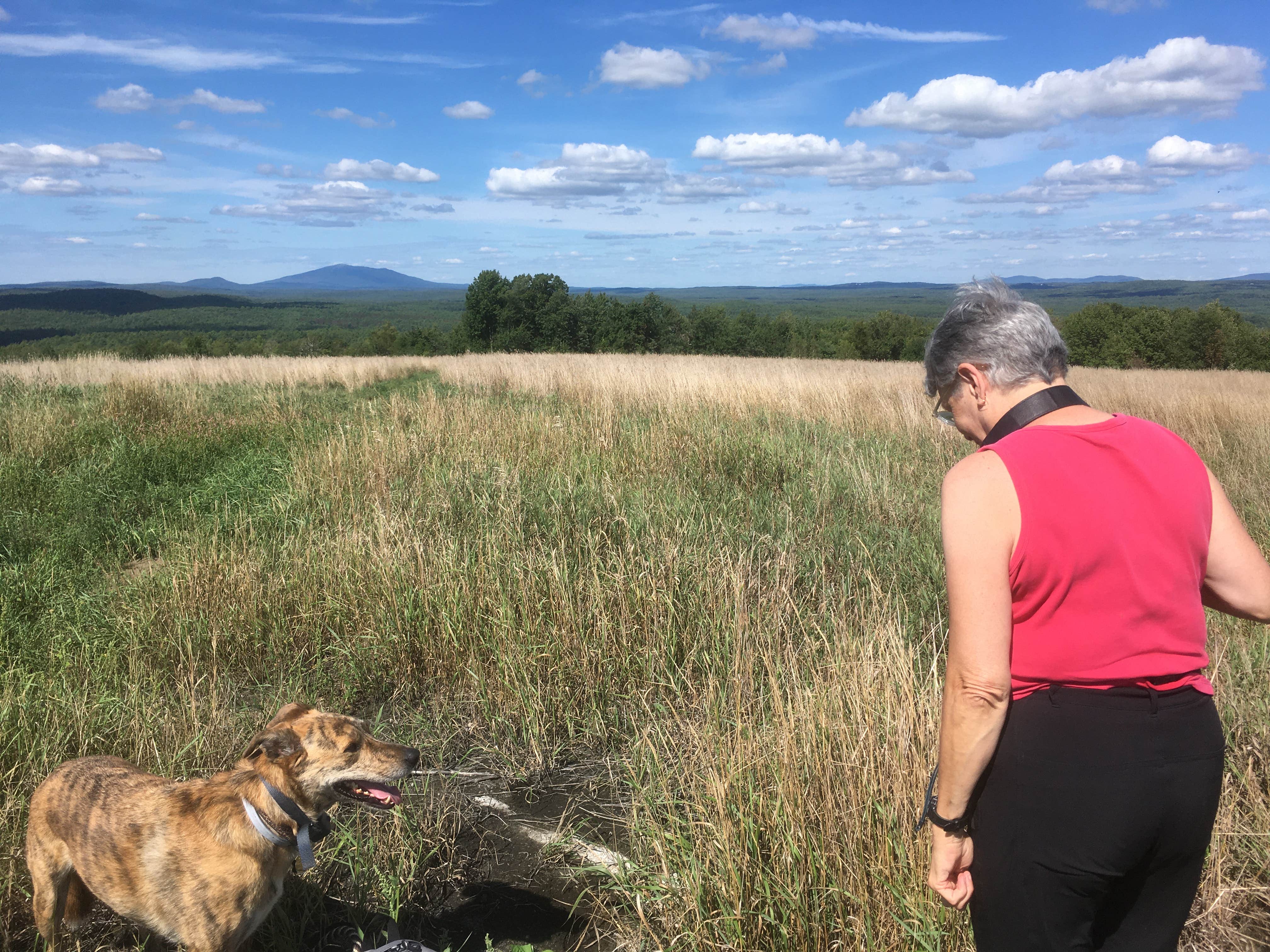 Alan's photo of camping with pets at Lake Dennison Recreation Area Campground near Edward MacDowell Lake