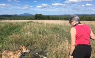 Alan's photo of camping with pets at Lake Dennison Recreation Area Campground near Greenville, NH