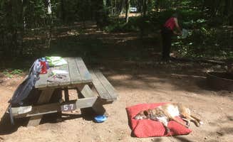 Alan's photo of camping with pets at Lake Dennison Recreation Area Campground near Greenville, NH