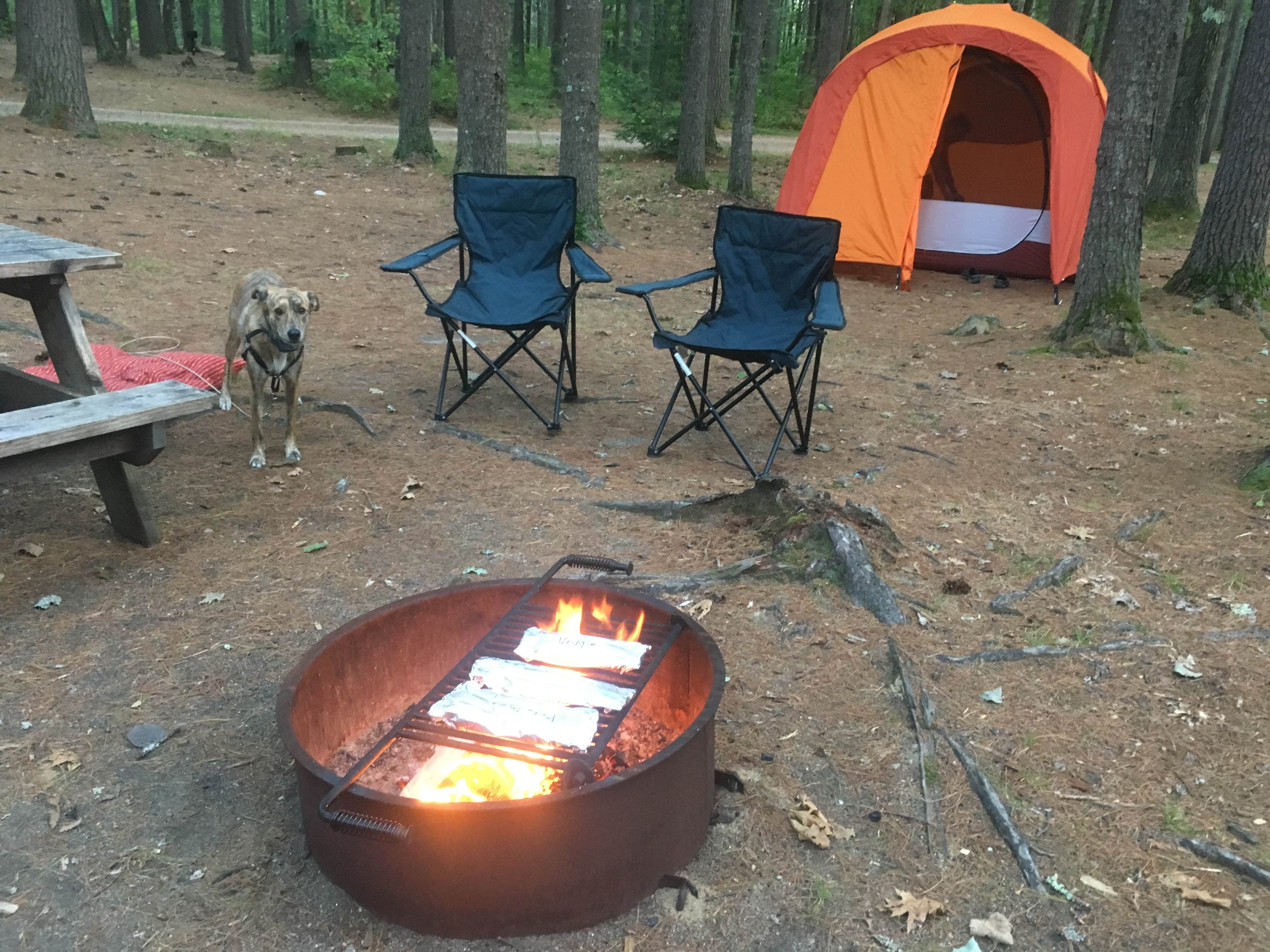 Alan's photo of camping with pets at Pearl Hill State Park Campground near Edward MacDowell Lake