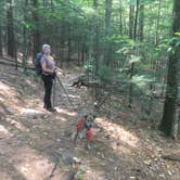 Review photo of Bear Brook State Park Campground by Alan , September 14, 2021