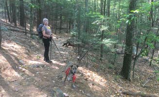 Alan's photo of camping with pets at Bear Brook State Park Campground near Plaistow, NH