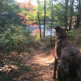Review photo of Bear Brook State Park Campground by Alan , September 14, 2021
