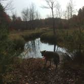 Review photo of Bear Brook State Park Campground by Alan , September 14, 2021