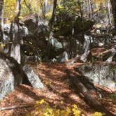 Review photo of Bear Brook State Park Campground by Alan , September 14, 2021