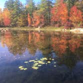 Review photo of Bear Brook State Park Campground by Alan , September 14, 2021