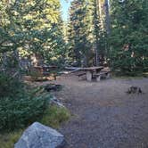 Review photo of Mazama Village Campground — Crater Lake National Park by Carol , September 14, 2021