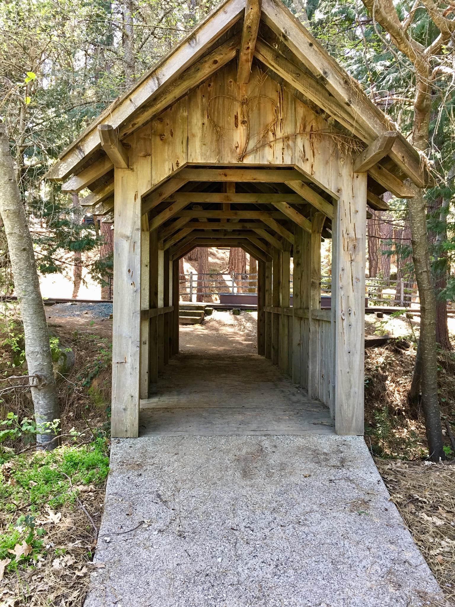 Camper submitted image from Inn Town Campground - 2