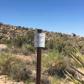 Review photo of Jumbo Rocks Campground — Joshua Tree National Park by Andrew D., June 26, 2018