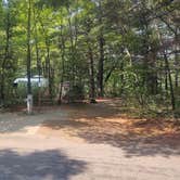 Review photo of Lake Wissota State Park Campground by Rachel , September 14, 2021