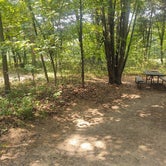 Review photo of Lake Wissota State Park Campground by Rachel , September 14, 2021