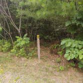 Review photo of Lake Wissota State Park Campground by Rachel , September 14, 2021