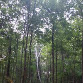 Review photo of Lake Wissota State Park Campground by Rachel , September 14, 2021