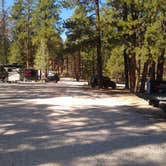 Review photo of Kaibab Camper Village by Greg L., September 14, 2021