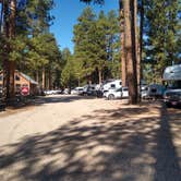 Review photo of Kaibab Camper Village by Greg L., September 14, 2021