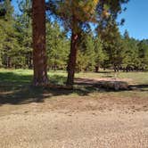 Review photo of Kaibab Camper Village by Greg L., September 14, 2021