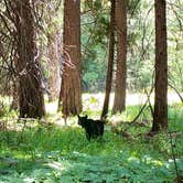 Review photo of Sunset Point Campground by Andrew D., June 22, 2018