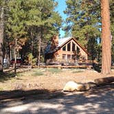 Review photo of Kaibab Camper Village by Greg L., September 14, 2021