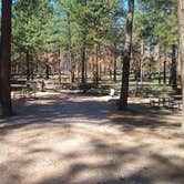 Review photo of Kaibab Camper Village by Greg L., September 14, 2021