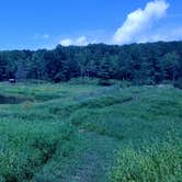 Review photo of Wellesley Island State Park Campground by Joshua J., September 15, 2021