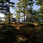 Review photo of Wellesley Island State Park Campground by Joshua J., September 15, 2021