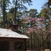 Review photo of Mission Tejas State Park Campground by Oscar D., September 15, 2021