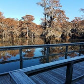 Review photo of Caddo Lake State Park Campground by Oscar D., September 15, 2021