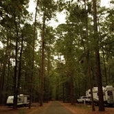 Review photo of Caddo Lake State Park Campground by Oscar D., September 15, 2021