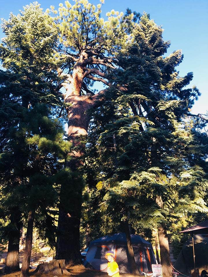 Krystle L.'s photo at Boulder Basin near Hemet, CA