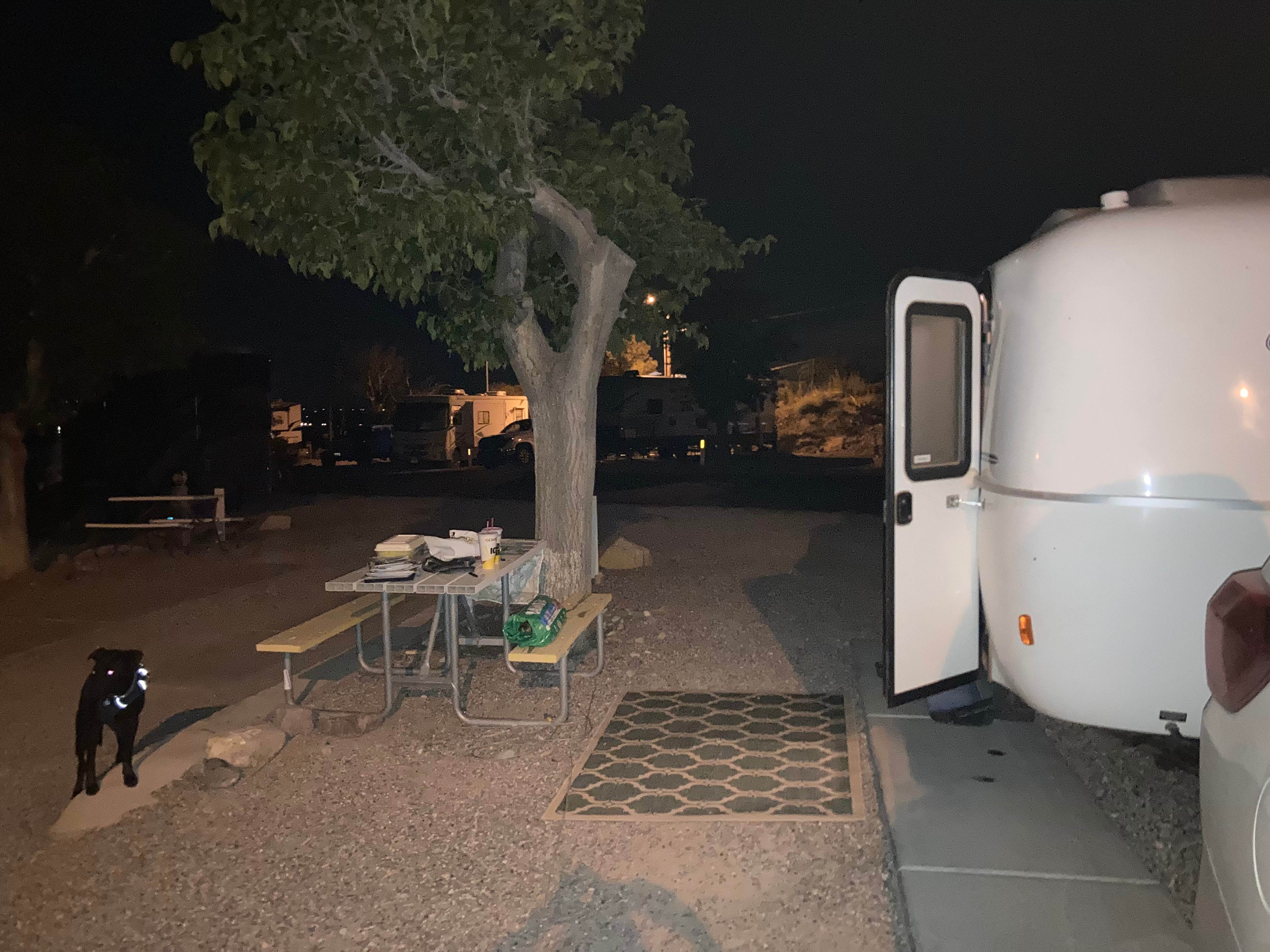 Kristina B.'s photo of camping with pets at Las Cruces KOA near El Paso, TX