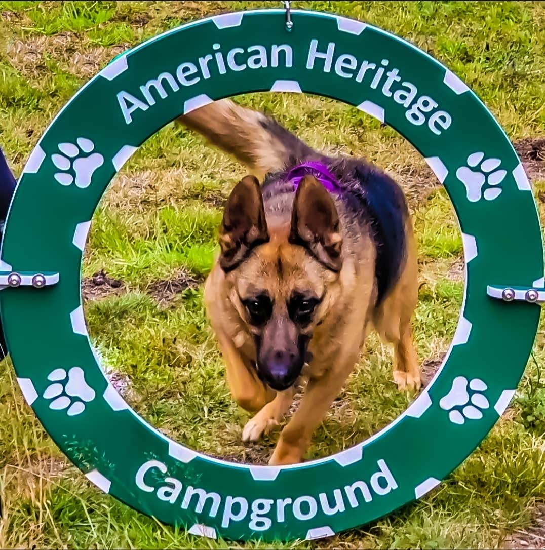 Natalie S.'s photo of camping with pets at American Heritage Campground near Yelm, WA