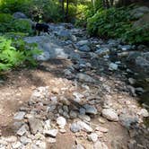 Review photo of Limekiln State Park - TEMPORARILY CLOSED by Sara C., September 15, 2021