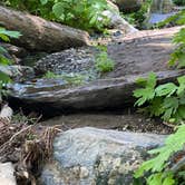 Review photo of Limekiln State Park Campground — TEMPORARILY CLOSED by Sara C., September 15, 2021