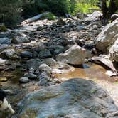 Review photo of Limekiln State Park Campground — TEMPORARILY CLOSED by Sara C., September 15, 2021